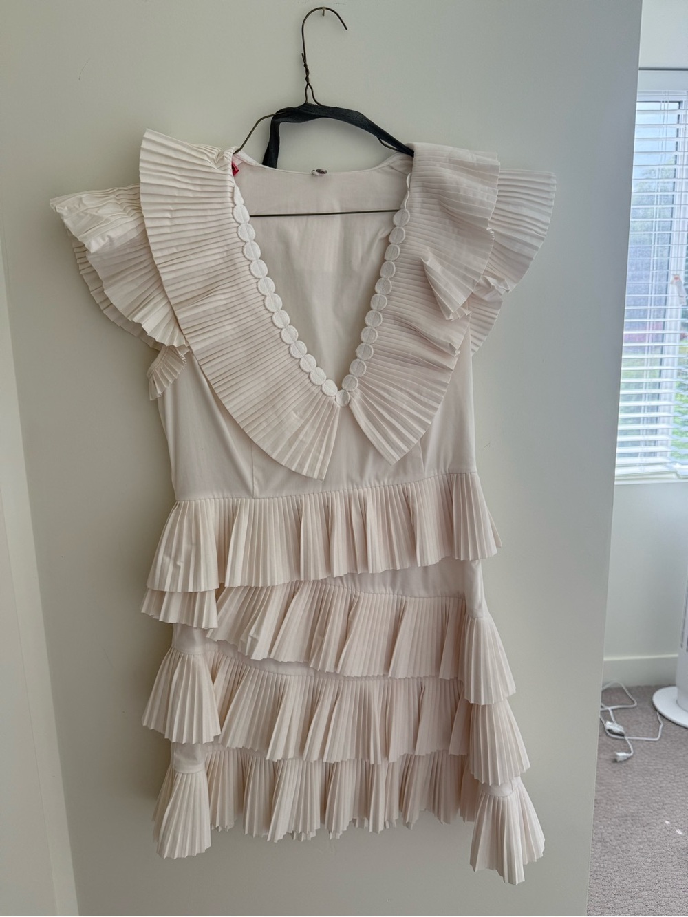 CeliaB Cream Pleated Ruffle Mini Dress